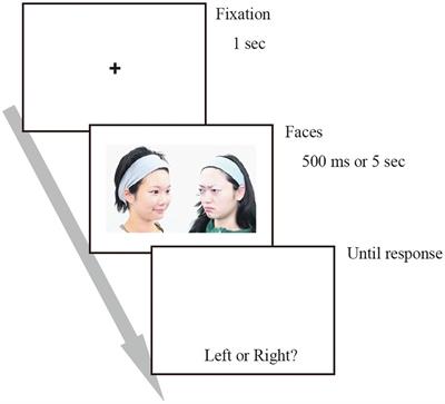 The effects of facial expressions on judgments of others when observing two-person confrontation scenes from a third person perspective